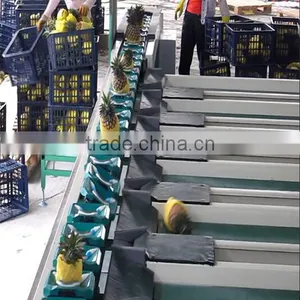 Fruits Shaddock Grading Machine Sorter Grader Separator Weight Sorting Machine thumbnail-3