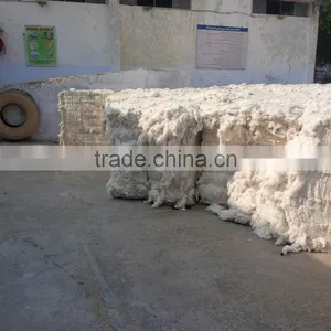 Raw Cotton / 100% Cotton Raw / 100% Cotton thumbnail-3