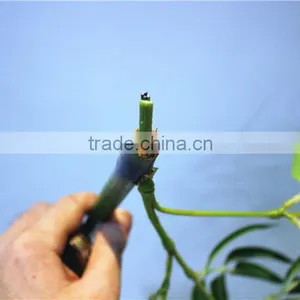 Curtain Home Garden Decorative Edging 3ft to 17ft Height Outdoor Simulation Green Bamboo Poles EZZZ06 1004 thumbnail-2