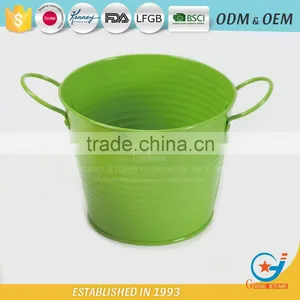 Iron and Zinc Unique Embossing Powder Coated Flowering Plants in Pots Decoration Garden Flower Pot thumbnail-2