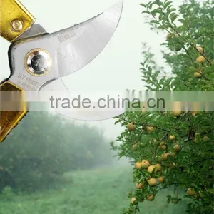 Shears & Pruning Tools thumbnail-1
