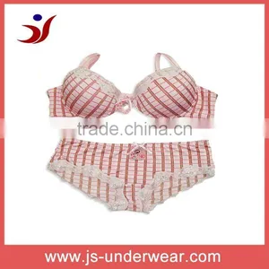 Sexy Fancy Nylon Lace Bras Underwear Set Fashion Bra Set thumbnail-1