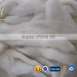 Pure Comded Mongolian Raw Sheep Cashmere Wool Fiber For Sale thumbnail-2
