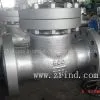 (Super) Duplex Steel Check Valve thumbnail-1