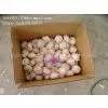China White Garlic 5.0cm thumbnail-2