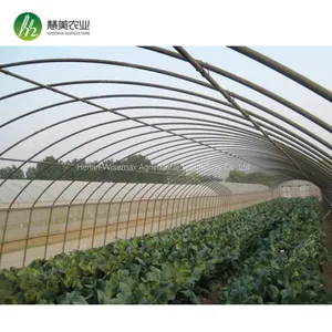 Top Quality China Manufacturer Single Span Polyethylene Film Greenhouses thumbnail-2