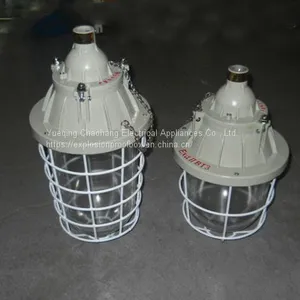 250W Extension Explosion-proof Lamp Waterproof Dustproof Lamp Explosion-proof Energy-saving Lamp BAD54 thumbnail-2