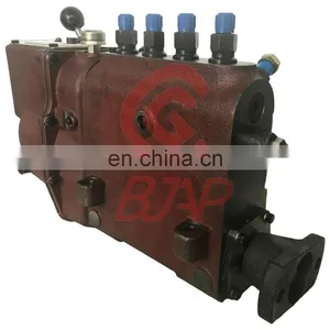 Injection Pump BH4B100YS31AB thumbnail-2