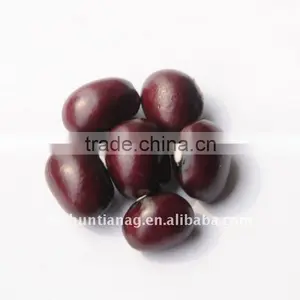 Purple Round Kidney Bean thumbnail-1