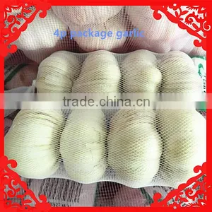2016 New Crop Fresh Garlic in 10kg Mesh Bag and Carton China Export Garlic thumbnail-5