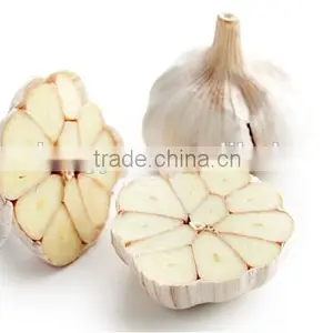 Garlic thumbnail-1