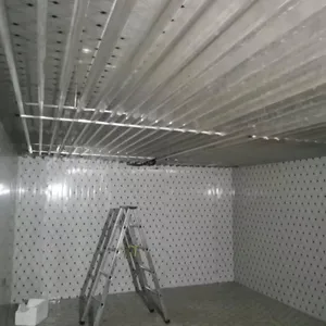 Rapid Freezing Room，Sub-zero Cold Storage，Small Vegetable Cold Room thumbnail-3