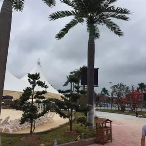Customization Artificial Coconut Palm Tree for 5 Star Hotel Villa Engineering Project Garden Landscape Design 3-15 Meter Trees thumbnail-1