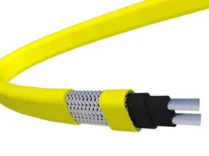 Self-Regulating Heating Cable for Pipe Freeze Protection With Automatic Temperature Control thumbnail-1