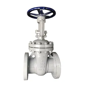 API ANSI Gate Valve Carbon Steel WCB A216 Flange Hard Seal Soft Seal 300LB High Pressure/Temperature Industrial Pipeline Valve thumbnail-1