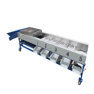 Fruit Sorting Machine Can Use for Pear/ Tomato/ Cherry/ Apple/ Orange/ Lemon/ Mango thumbnail-6