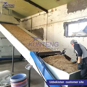 Automatic Commercial Cassava Ginger Taro Tomato Carrot Cleaning Slicing and Drying Production Line thumbnail-5