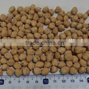 Chickpeas Kabuli thumbnail-1