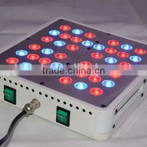 High Power 200W LED Grow Light 3 Years Warranty for Medical Plants thumbnail-4