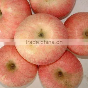 Wholesale Fresh Fuji Apple thumbnail-1