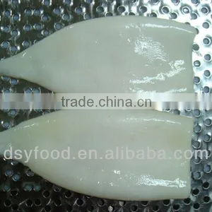 Frozen Illex Squid Tube Frozen Seafood thumbnail-1