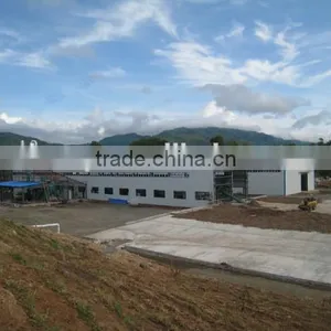 Cassava Starch/gari Processing Machine / Cassava Flour Extraction Machine /production Line thumbnail-6