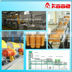 Turnkey Project Industrial Orange Juice Producing Plant thumbnail-1