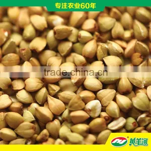 Buckwheat for Sale thumbnail-1