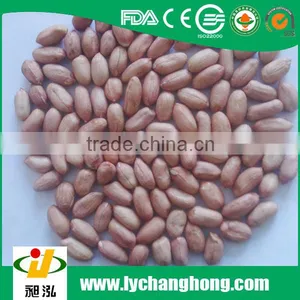 Ju'nan Country Best Quality Peanut Kernel24/28 Size 25kg/ctn for Sale thumbnail-1
