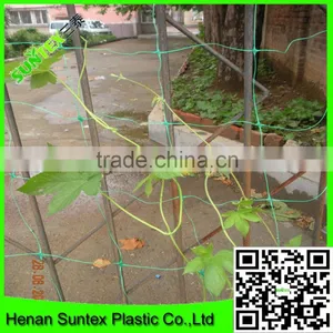 Heavy Duty Long-lasting Polyester Trellis Netting Plant Support Net thumbnail-5
