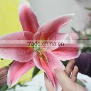 Most Popular Best Selling Lilies Real Touch thumbnail-5