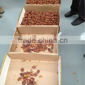 Date Sorting Machine thumbnail-1