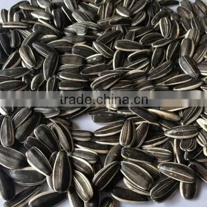 Chinese Sunflower Seeds 5009 Long Shape 270PCS/50G thumbnail-2