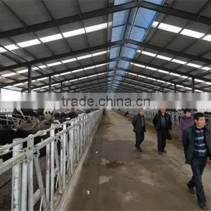 Large / Long Span Prefabricated Steel Structure Poultry / Lifestock Buildings thumbnail-1