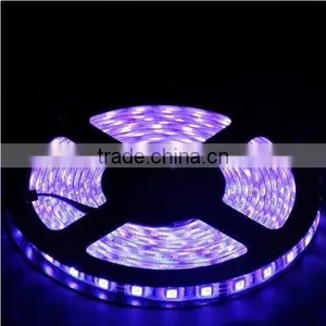 Led Strip Hight Brightness Led Strip 24v thumbnail-3