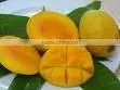 Fresh Mango thumbnail-1