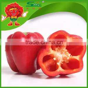 Bell Pepper/Color Pepper thumbnail-5