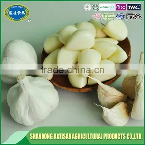 Fresh Peeled Garlic Bulk, Export to Europe thumbnail-1