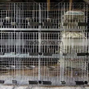 Galvanized Pigeon Breeding Cage For Poultry Farms thumbnail-3