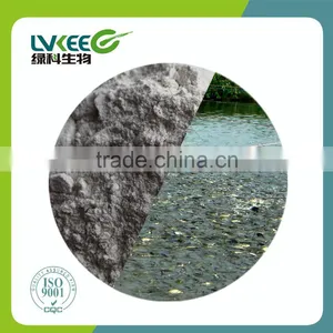 Probiotics Powder 500BL Bacillus Amyloliquefaciens Amino Acid Promoter From Lvkee thumbnail-3