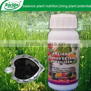 Seaweed Extract thumbnail-1