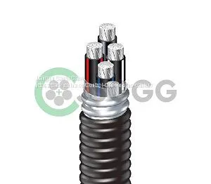 RHH Aluminum Conductors thumbnail-1