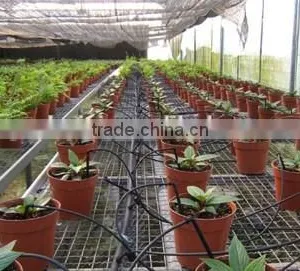 Greenhouse Mist Irrigation System for Flower thumbnail-2