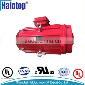 UL LISTED NEMA ODP STANDARD 200HP IE1 HIGH-POWER MOTOR (TDC447T200U4B) thumbnail-1