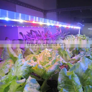 2016 New MarsHydro Led Plant Grow Bar Light Strip Full Waterproof Greenhours Grow Light Bar 23W 46W 92W thumbnail-4