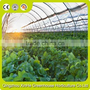 Low Cost Aluminum Single-Span Greenhouse thumbnail-3