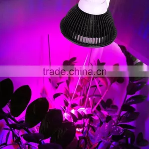 Best Seller on Amazon 12W LED Growing Bulb for Indoor Garden Greenhouse and Hydroponic Aquatic,E27 3Bands thumbnail-6