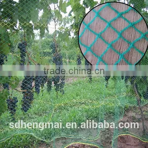 100% Virgin HDPE Protection Anti-hail Net,wind Net /Anti Bird Net thumbnail-3