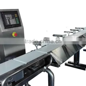Conveyor Belt Metal Detector and Check Weigher. Metal Detector for Food Processing Inspection With Check Wigher thumbnail-1