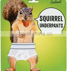 Squirrel Underpants thumbnail-2
